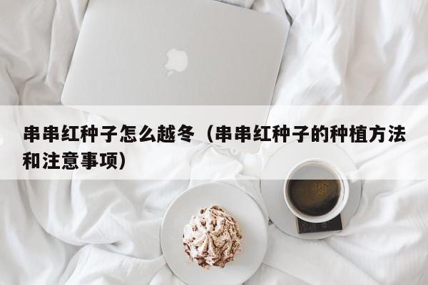 串串红种子怎么越冬（串串红种子的种植方法和注意事项） 